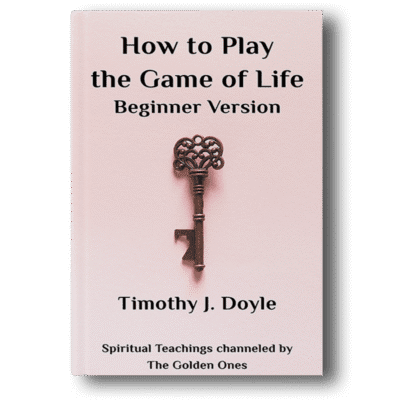 How to Play the Game of Life - Tim Doyle