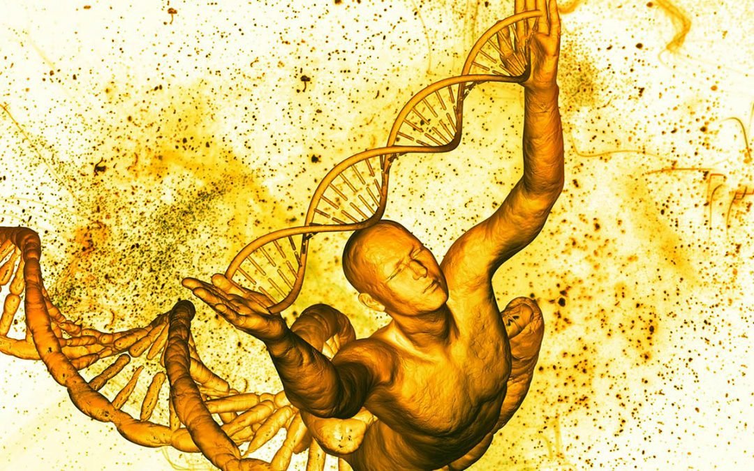 Regenerating the Body