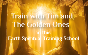 train with tim header image rectangle